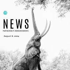 The Significance of B2B Partnerships in the Modern Business Landscape